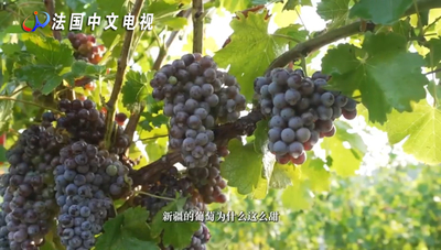 文章封面图
